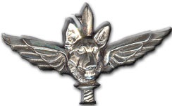 Oketz K9 unit insignia